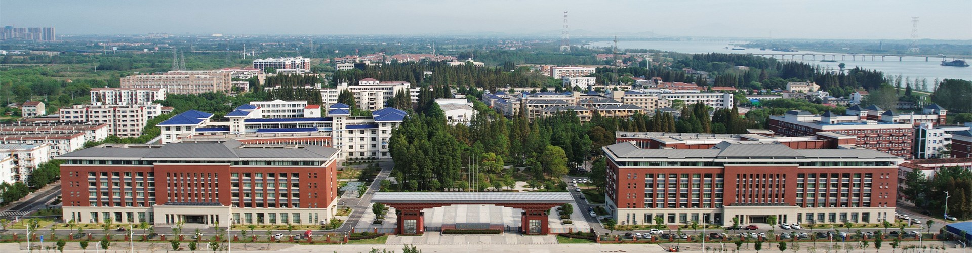 图片集锦